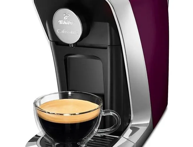 Daire Apartament Fossa *